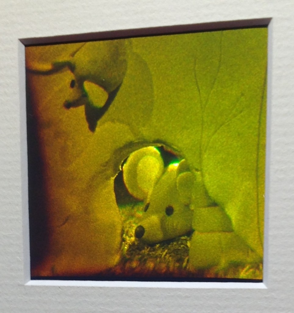 Little Mouse Holograf Detlev Abendroth Ram 13x18 cm 250:- 